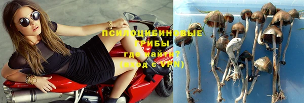 соль ск Аркадак