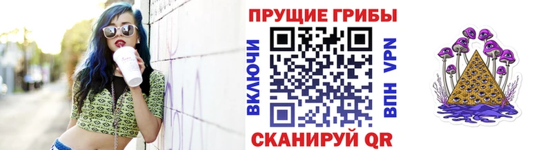 Псилоцибиновые грибы мицелий  Купить закладки  Мегион 